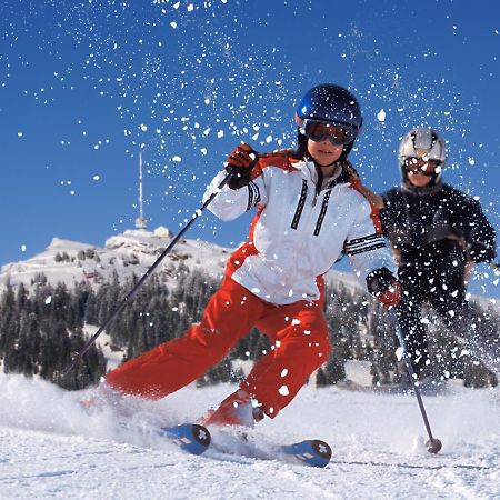 Chalet Bergli Rigi Kaltbad Εξωτερικό φωτογραφία