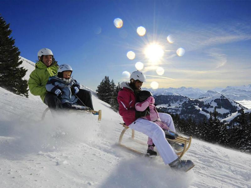 Chalet Bergli Rigi Kaltbad Εξωτερικό φωτογραφία