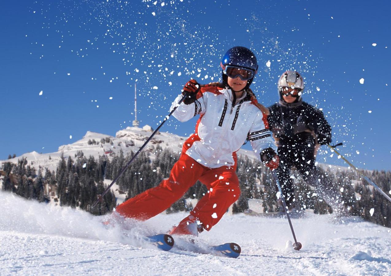 Chalet Bergli Rigi Kaltbad Εξωτερικό φωτογραφία